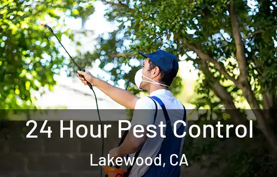  24 Hour Pest Control Lakewood, CA