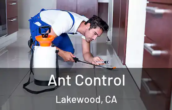  Ant Control Lakewood, CA
