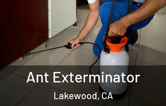  Ant Exterminator Lakewood, CA