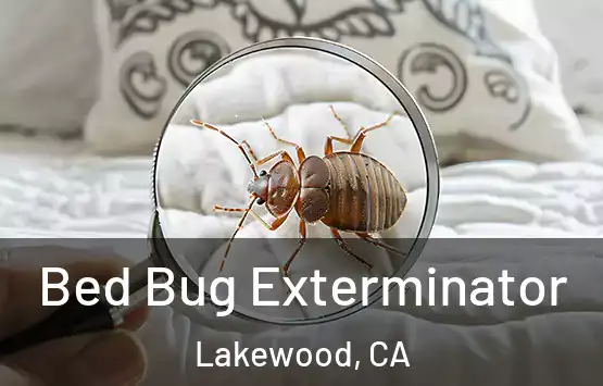  Bed Bug Exterminator Lakewood, CA