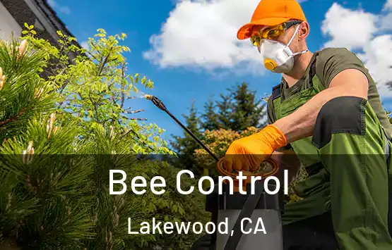  Bee Control Lakewood, CA