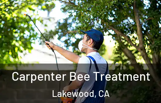  Carpenter Bee Treatment Lakewood, CA