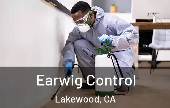  Earwig Control Lakewood, CA
