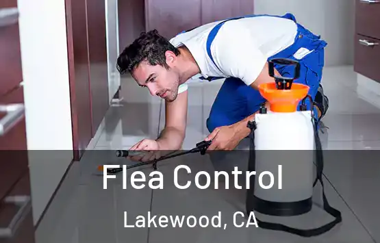  Flea Control Lakewood, CA