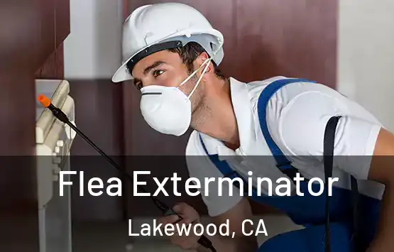  Flea Exterminator Lakewood, CA