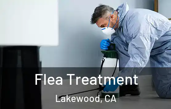  Flea Treatment Lakewood, CA