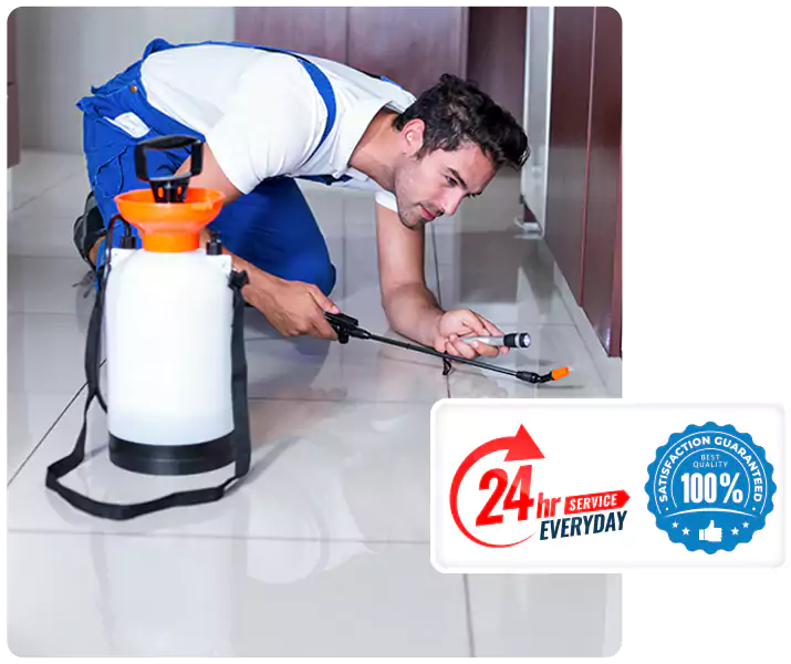 Year-Round Pest Prevention Plans in Lakewood