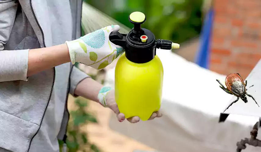 Ticks Pest Control Lakewood, California