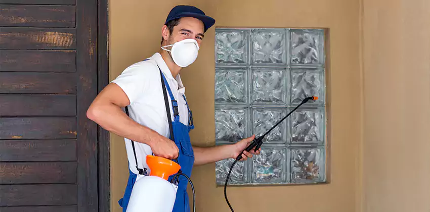 Bee Control for Bedrooms Lakewood, CA