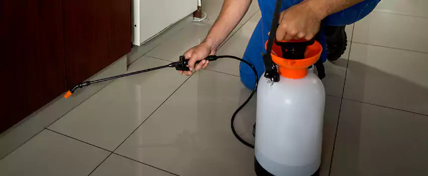 Prevent Future Roach Infestations Lakewood, CA