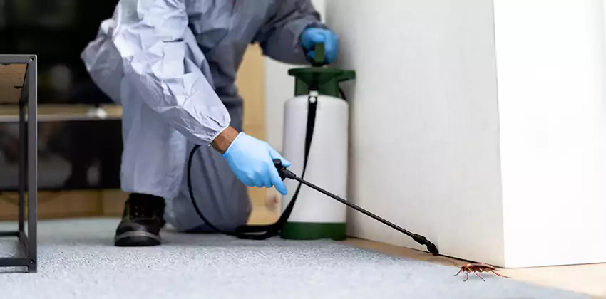 Commercial Pest Control for Offices in Lakewood, CA