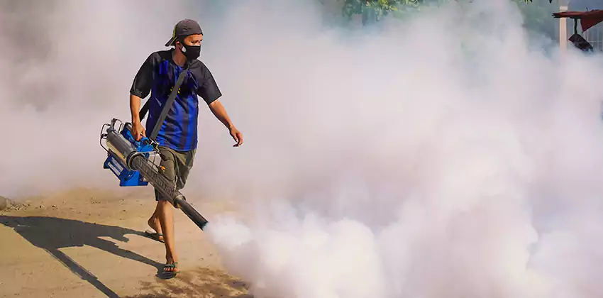 Bedrooms Mosquito Extermination in Lakewood, CA