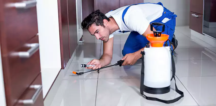 Protect Your Home with Our Pest Inspection Services Lakewood, CA