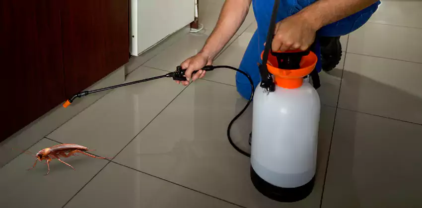 Exclusion and Sanitation Consultation in Lakewood, CA