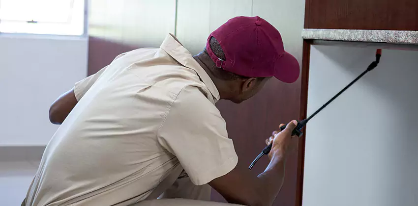 Children and pets extermination of termites Lakewood, CA