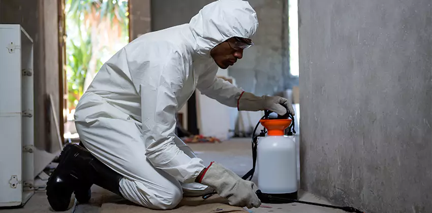 Termite Inspection for Bedrooms Lakewood, CA