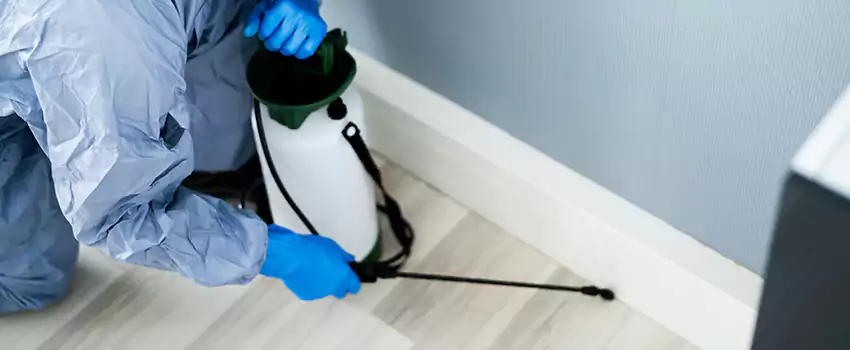 cockroach-exterminator in Lakewood, CA