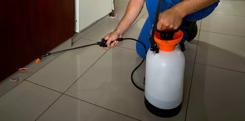 cockroach-treatment in Lakewood, CA