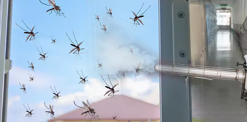 mosquito-treatment in Lakewood, CA