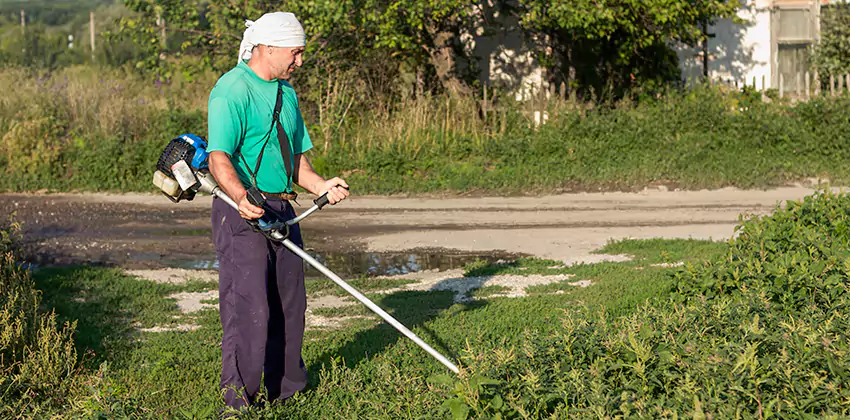 tick-treatment-for-yard in Lakewood, CA