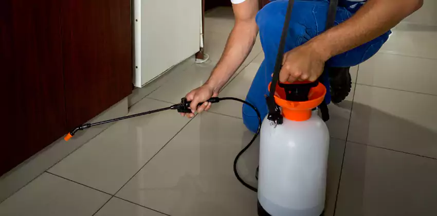 Pest Exterminator Company in Lakewood, CA