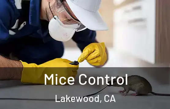 Mice Control Lakewood, CA