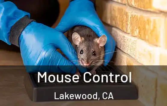  Mouse Control Lakewood, CA