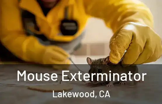  Mouse Exterminator Lakewood, CA