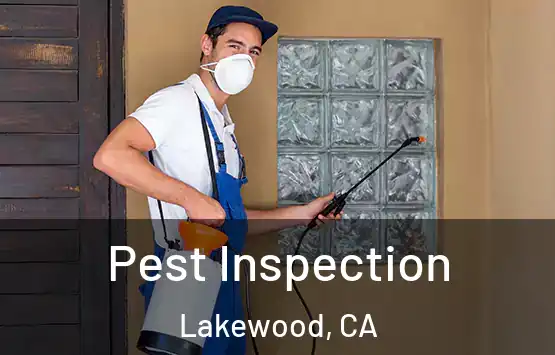  Pest Inspection Lakewood, CA