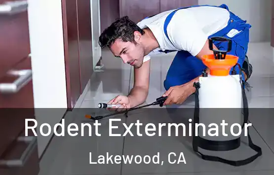  Rodent Exterminator Lakewood, CA