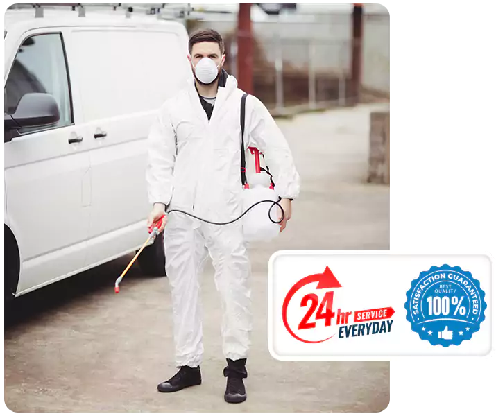 About Carpenter Bee Treatment Lakewood