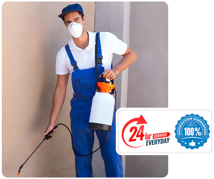About Flea Exterminator Lakewood