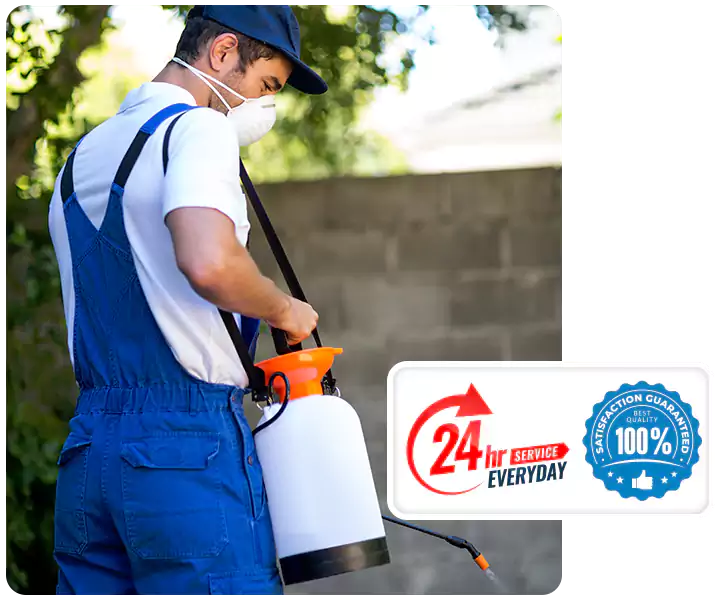 About Pest Exterminator Lakewood