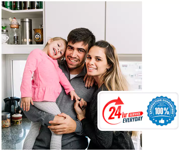 About Termite Control Lakewood