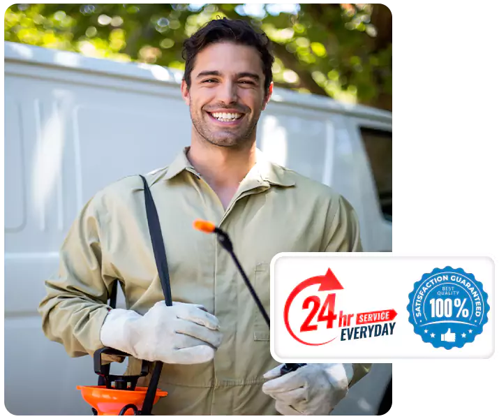 About Termite Exterminator Lakewood