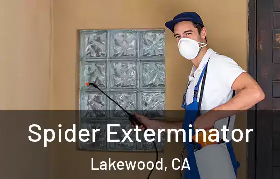  Spider Exterminator Lakewood, CA