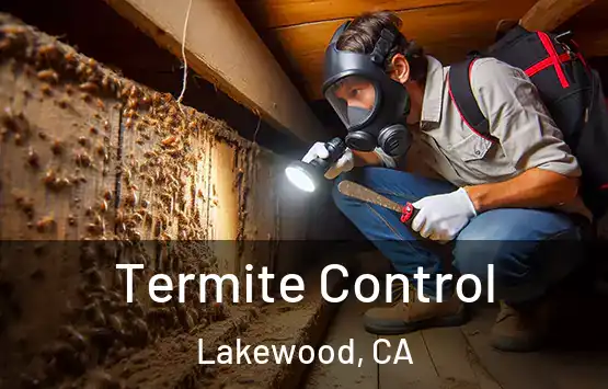  Termite Control Lakewood, CA