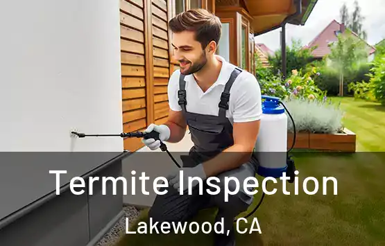  Termite Inspection Lakewood, CA