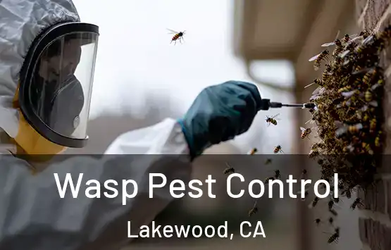  Wasp Pest Control Lakewood, CA