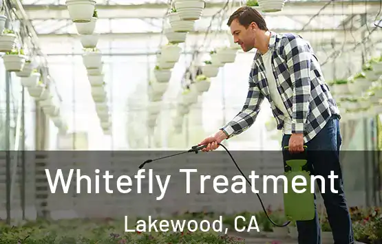  Whitefly Treatment Lakewood, CA